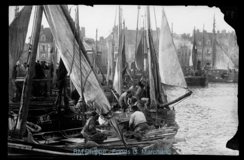 Dans le port de pêche (vue)