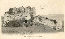 ARQUES. - Les Ruines du Château.