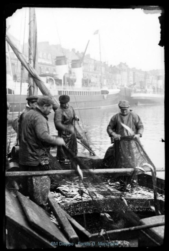 Avant-port, pêcheurs vidant leur filet (vue de l')
