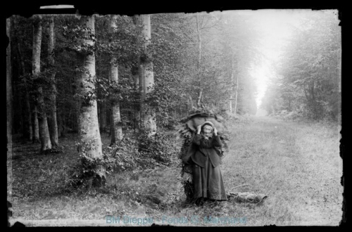 Forêt avec une vieille femme (vue de la)