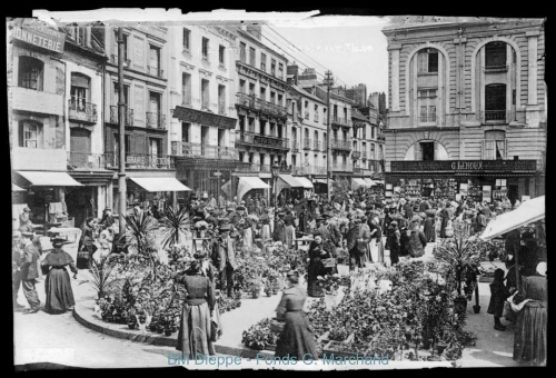 Marché aux fleurs, place nationale (vue du)