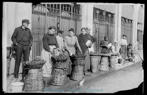 Poissonnerie de détail, vente de moules (vue de la)