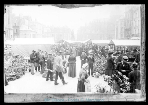 Marché aux fleurs, place nationale (vue du)