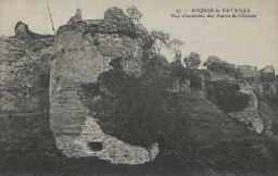 ARQUES-la-BATAILLE Vue d'ensemble des Ruines du Château