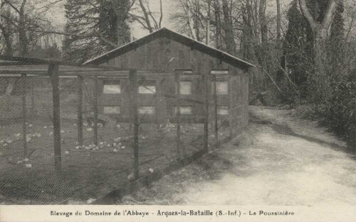 Elevage du Domaine de l'Abbaye - Arques-la-Bataille (S.-Inf.) - La Poussinière