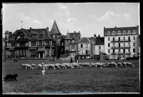 Villas Boulevard Aguado avec moutons sur pelouse (vue de)