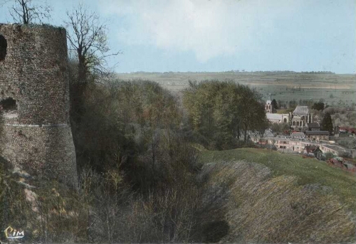 ARQUES-la-BATAILLE (76. Seine-Maritime) 66 - Vue générale prise des fossés du Château