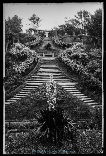 Escalier de la roseraie de la villa La Chaumette (vue de l')