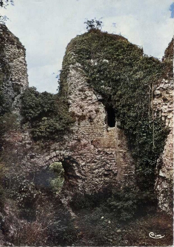 ARQUES-la-BATAILLE (76. S.-Mar.) Cl.82 – Murailles du Château (XIe)