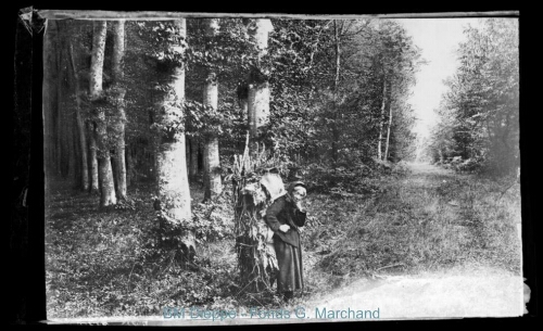 Forêt, avec une vieille femme (vue de la)