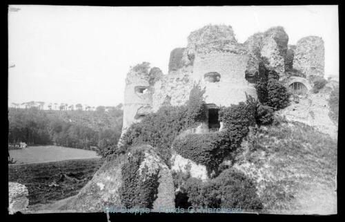 Tours du Château (vue des)