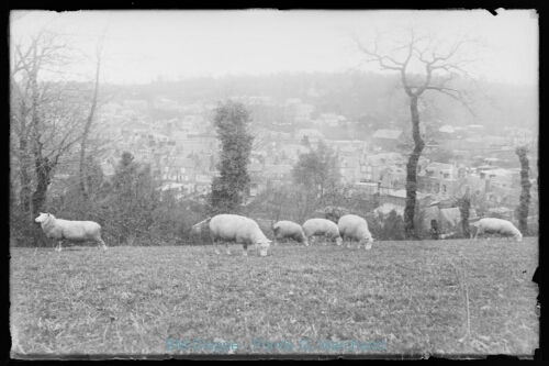 Ville prise d'une hauteur (Val druel?) avec des moutons en premier plan (vue d'une)